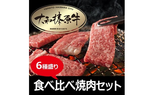 (冷凍) 大和榛原牛 焼肉 6種盛り／うし源本店 黒毛和牛 A5 キャンプ ロース カルビ モモ ミスジ ウデ イチボ 父の日 奈良県 宇陀市 お中元 贈答用 贈り物 暑中見舞い お土産 お土産 歳暮 内祝いまとめ買い 美味しい部位 キャンプ 送料無料 食べ比べ セット 盛り合わせ 正月