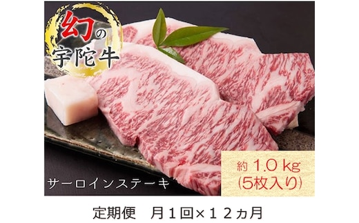 毎月定期便全12回 名産 認定肉 宇陀牛 国産 黒毛和牛 サーロイン ステーキ 5枚 計1kg / 山繁 ふるさと納税 牛肉 牛丼 しゃぶしゃぶ 人気 寄付 ランキング おすすめ グルメ 肉 返礼品 送料無料