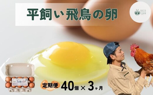 【毎月定期便／3ヶ月】平飼い飛鳥の卵 40個／ 卵 たまご 玉子 生卵 鶏卵 生たまご たまごかけごはん 卵焼き 目玉焼き 冷蔵 チルド 古都風雅ファーム 奈良県 宇陀市