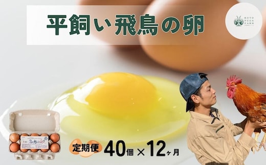 【毎月定期便／12ヶ月】平飼い飛鳥の卵 40個／ 卵 たまご 玉子 生卵 鶏卵 生たまご たまごかけごはん 卵焼き 目玉焼き 冷蔵 チルド 古都風雅ファーム 奈良県 宇陀市 ふるさと納税
