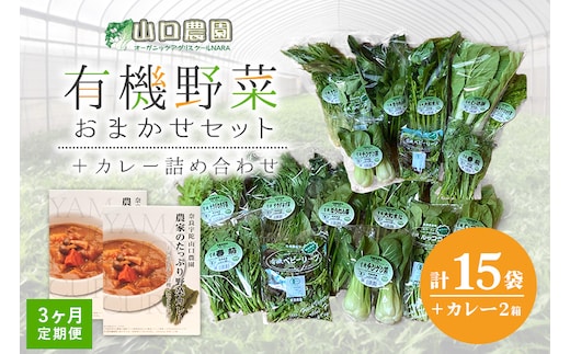 定期便 ３ヶ月 山口農園 有機野菜 おまかせセット＋カレー２箱 詰合せ 冷蔵 月１回 ／ふるさと納税 山口農園 有機野菜 伝統野菜 オーガニック ベジタリアン 定期便 カレー 野菜セット 農家直送 詰め合わせ 奈良県 宇陀市 