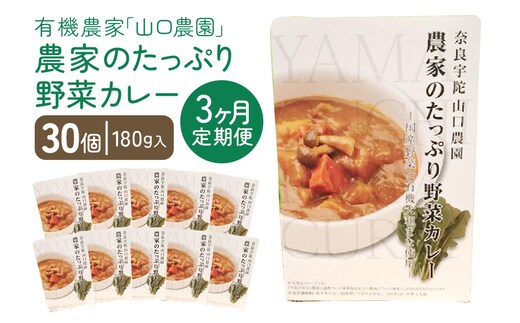 定期便 3ヶ月 農家のたっぷり野菜カレー 30個 月1回 ／ふるさと納税 山口農園 有機野菜 オーガニック 伝統野菜 レトルト 詰め合わせ ギフト カレーセット スパイス 飯 キャンプお取り寄せ 奈良県 宇陀市 おかず ご当地 簡単 お歳暮 暑中見舞い 時短 保存食 