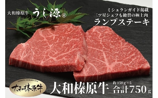 （冷凍） 大和榛原牛 稀少部位 赤身 あっさり もも ランプ ステーキ 150ｇ×5枚 計750ｇ ／ うし源 本店 ふるさと納税 A5 父の日 キャンプ バーベキュー 奈良県 宇陀市 お中元 贈答用 贈り物 暑中見舞い お土産 お歳暮 内祝いまとめ買い 美味しい部位 キャンプ 送料無料 正月