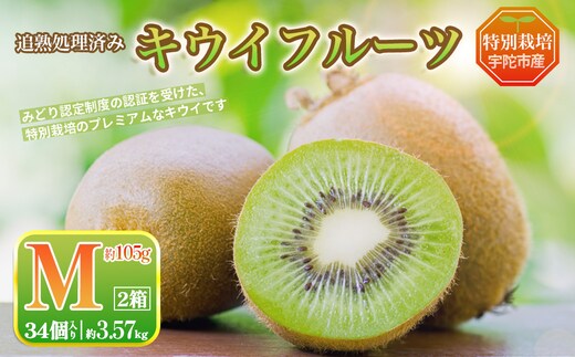 ＜12月〜3月発送＞ こだわり プレミアムキウイフルーツ Mサイズ 17個×2箱入 追熟処理済／ ふるさと納税 キウイ キウイフルーツ ギフト 栄養 果物 お土産 化学肥料不使用 特別栽培 塩 奈良県 宇陀市 やまとファームJAPAN