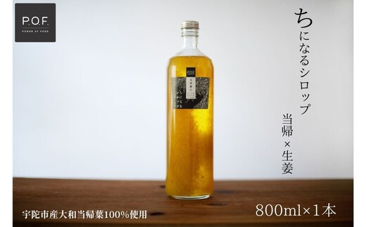 ちになるシロップ 大和当帰×生姜 800ml 1本／POWER OF FOOD ふるさと納税 生姜 シロップ 瓶 ガラス瓶 国産 食材 炭酸 大和当帰葉 有機 お湯割り 甜菜糖 ハチミツ はちみつ 送料無料 ち 奈良県 宇陀市
