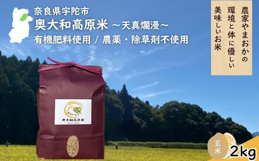 天真爛漫 奥大和高原米 ＜令和7年産 玄米 2kg＞ ／ ふるさと納税 無農薬 米 お米 こめ コメ 国産 新米 玄米 一等米 農家やまおか 有機肥料使用 農薬不使用 除草剤不使用 奈良県 宇陀市