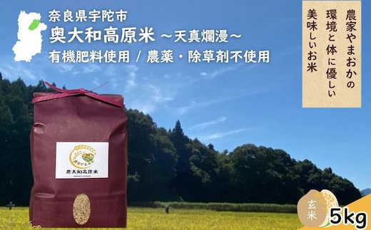 天真爛漫 奥大和高原米 ＜令和7年産 玄米 5kg＞ ／ ふるさと納税 無農薬 米 お米 こめ コメ 国産 新米 玄米 一等米 農家やまおか 有機肥料使用 農薬不使用 除草剤不使用 奈良県 宇陀