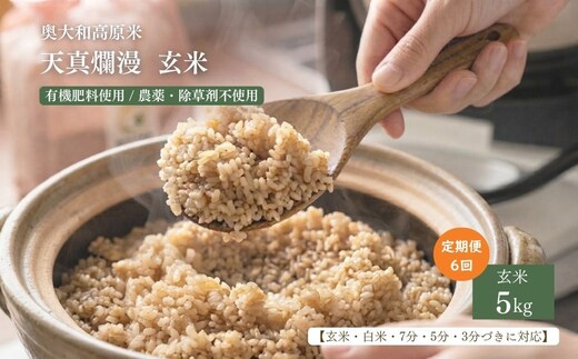 【定期便6回】天真爛漫 5kg ｜玄米・分づき・白米｜定期便6か月 ／ 無農薬 米 お米 こめ コメ 国産 新米 玄米 一等米 農家やまおか 有機肥料使用 農薬不使用 除草剤不使用 奈良県 宇陀市 ふるさと納税