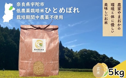 ひとめぼれ 低農薬栽培＜令和7年産 玄米 5kg ＞ / ふるさと納税 低農薬 米 お米 こめ コメ 国産 新米 玄米 一等米 農家やまおか 奈良県 宇陀市陀市 ふるさと納税