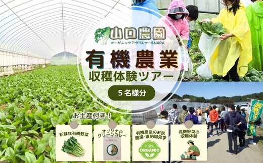有機農業 収穫体験 ツアー お土産付 5名様迄／ 農家 有機野菜 オーガニック 無農薬 SDGs 関西 チケット カレー 山口農園 奈良県 宇陀市 ふるさと納税