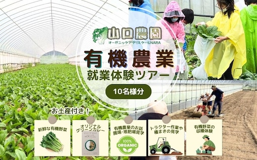 有機農業 就業体験 ツアー お土産付 10名様迄／ 収穫体験 種まき トラクター 農家 有機野菜 オーガニック 無農薬 SDGs 関西 チケット カレー 山口農園 奈良県 宇陀市 ふるさと納税