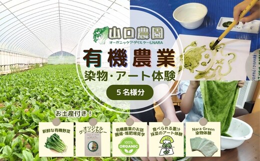有機農業 染物 アート 体験 お土産付 5名様迄／ 畑見学 食べられる染料 Nara Green 抹菜 農家 有機野菜 オーガニック 無農薬 SDGs 関西 チケット カレー 山口農園 奈良県 宇陀市 ふるさと納税