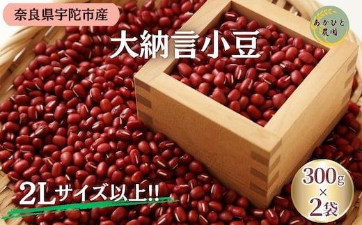 ＜11月中旬以降の発送予定です＞宇陀大納言小豆300g×2袋（2Lサイズ以上） ／ ふるさと納税 小豆 国産 あずき 大納言 あんこ 奈良県 宇陀市 あかひと農園
