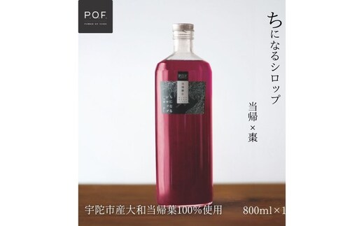 ちになるシロップ＜大和当帰×棗＞800ml 1本／ ふるさと納税 棗 シロップ 瓶 ガラス瓶 国産 食材 炭酸 大和当帰葉 有機 お湯割り 甜菜糖 ハチミツ はちみつ 送料無料 ち 奈良県 宇陀市 POWER OF FOOD