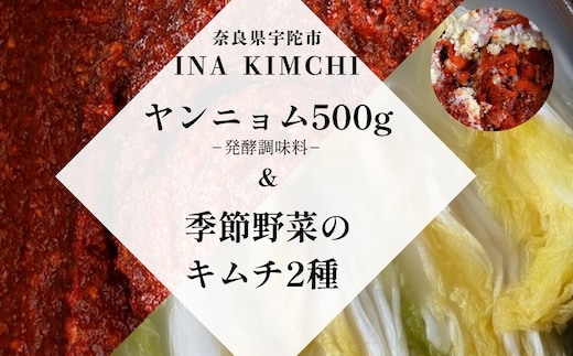 ヤンニョム500g ＆季節野菜のキムチ2種（各500g）／ ふるさと納税 キムチ ヤンニョムソース 赤キムチ 白キムチ 料理 グルメ INA Lab INA KIMCHI 取り寄せ 室生 奈良県 宇陀市