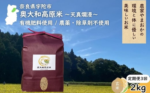 【定期便3回】天真爛漫 奥大和高原米 ＜令和7年産 玄米 2kg＞ ／ ふるさと納税 無農薬 米 お米 こめ コメ 国産 新米 玄米 一等米 農家やまおか 有機肥料使用 農薬不使用 除草剤不使用 奈良県 宇陀市