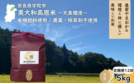 【定期便12回】天真爛漫 奥大和高原米 ＜令和7年産 玄米 5kg＞ ／ ふるさと納税 無農薬 米 お米 こめ コメ 国産 新米 玄米 一等米 農家やまおか 有機肥料使用 農薬不使用 除草剤不使用 奈良県 宇陀市