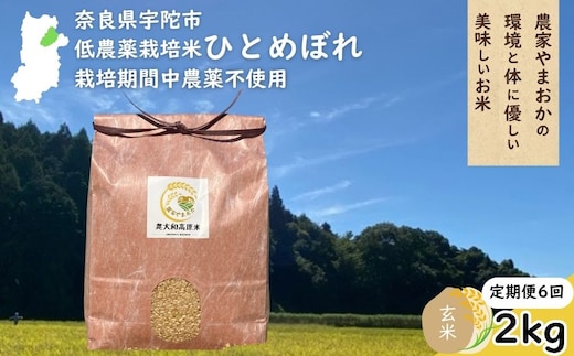 【定期便6回】ひとめぼれ 低農薬栽培＜令和7年産 玄米 2kg ＞ / ふるさと納税 低農薬 米 お米 こめ コメ 国産 新米 玄米 一等米 農家やまおか 奈良県 宇陀市