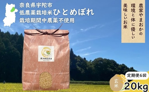 【定期便6回】ひとめぼれ 低農薬栽培＜令和7年産 玄米 20kg ＞ / ふるさと納税 低農薬 米 お米 こめ コメ 国産 新米 玄米 一等米 農家やまおか 奈良県 宇陀市