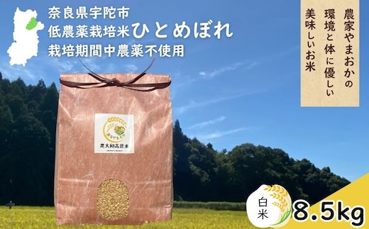 ひとめぼれ 低農薬栽培＜令和7年産 白米 8.5kg ＞ / ふるさと納税 低農薬 米 お米 こめ コメ 国産 新米 玄米 一等米 農家やまおか 奈良県 宇陀市