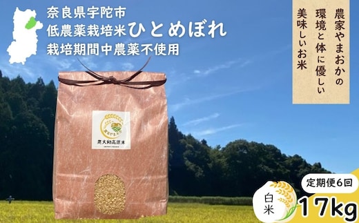 【定期便6回】ひとめぼれ 低農薬栽培＜令和7年産 白米 17kg ＞ / ふるさと納税 低農薬 米 お米 こめ コメ 国産 新米 玄米 一等米 農家やまおか 奈良県 宇陀市