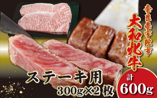 ＜冷凍＞大和牝牛 サーロインステーキ 300g×2枚 計600g ／太田家 和牛 牛肉 焼肉 お弁当 バーベキュー アウトドア キャンプ 父の日 お中元 贈答用 贈り物 暑中見舞い お土産 お歳暮 美味しい部位 奈良県 宇陀市 ふるさと納税