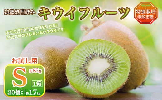＜2026年12月〜3月発送＞プレミアム キウイ フルーツ Sサイズ 20個入 お試し 追熟処理済 ／ ふるさと納税 キウイ キウイフルーツ 訳あり 栄養 果物 化学肥料不使用 特別栽培 奈良県 宇陀市 やまとファームJAPAN