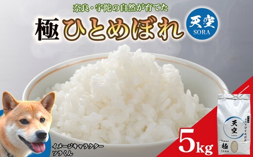 宇陀の自然が育てた 天空【sora】極 ひとめぼれ 5kg｜特別栽培米・奈良県宇陀産 白米