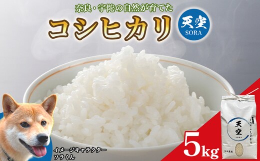 宇陀の自然が育てた 天空【sora】コシヒカリ 5kg｜奈良県宇陀産 白米