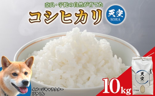 宇陀の自然が育てた 天空【sora】コシヒカリ 10kg｜奈良県宇陀産 白米