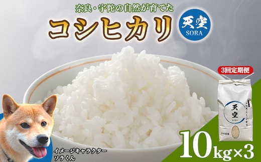 宇陀の自然が育てた 天空【sora】コシヒカリ 定期便 10kg×3回｜奈良県宇陀産 白米