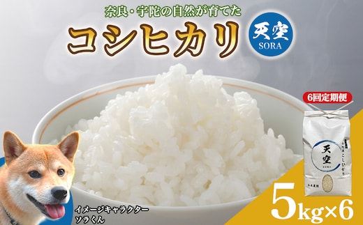 宇陀の自然が育てた 天空【sora】コシヒカリ 定期便 5kg×6回｜奈良県宇陀産 白米