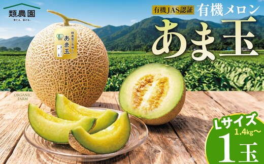 【期間限定】有機メロン「あま玉」1玉 Lサイズ 1.4kg～【R8年7月15日より順次発送】