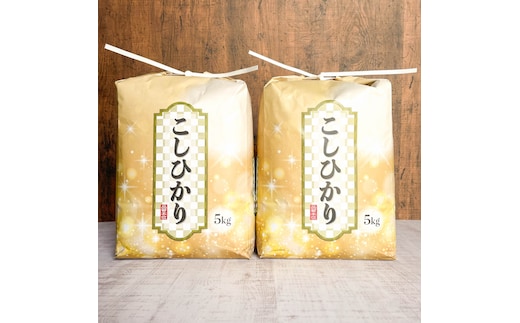 令和8年度産コシヒカリ精米10kg(5kg×2袋)（9月末頃より順次出荷予定）