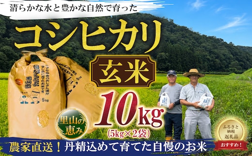 【令和8年産】ひがしとよ里山米 玄米10kg(5kg×2袋)【数量限定先行予約受付】