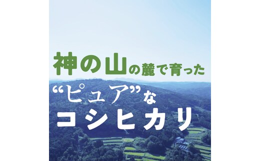 山添村産令和5年収穫 コシヒカリ10kg 低農薬 精米済