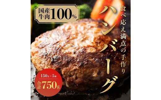 （冷凍） 国産牛肉100％ 食べ応え満点 手作り・手ごね ハンバーグ 750g ／ 歩商事 自家製タレ 贈答用 ギフト 奈良県 田原本町