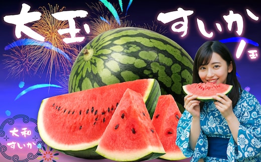 大和スイカ「祭りばやし」【2026年7月初旬～7月下旬ごろ発送予定】 ／ ヒロちゃんファーム 西瓜 スイカ すいか 果物 フルーツ デザート 奈良県 田原本町