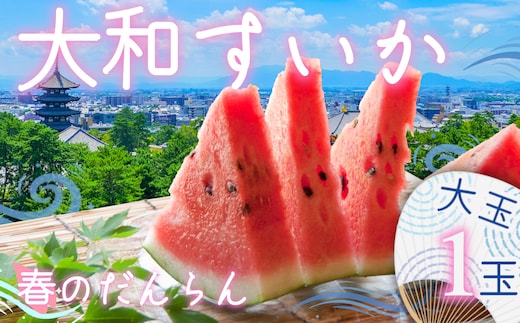 大和スイカ「春のだんらん」【2026年6月初旬～6月下旬ごろ発送予定】 ／ ヒロちゃんファーム 西瓜 スイカ すいか 果物 フルーツ デザート 奈良県 田原本町