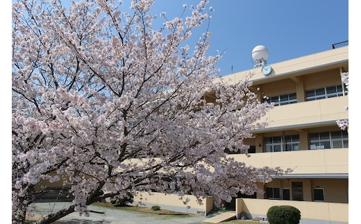 【学校応援ふるさと寄附金】田原本町立東小学校（返礼品なし）5,000円