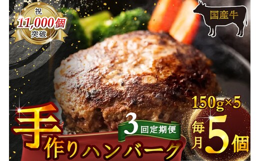 （定期便）【全3回】（冷凍）国産牛肉100％食べ応え満点 手作り・手ごね ハンバーグ 750g ／ 歩商事 定期便 牛肉 手作り 手ごね ハンバーグ 奈良県 田原本町