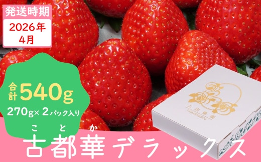 （冷蔵）【４月発送分】イチゴ 奈良県産高級ブランド品種「古都華」デラックス（270g×２パック） ／ 上田農園 苺 いちご 果物 フルーツ 甘い 奈良県 田原本町