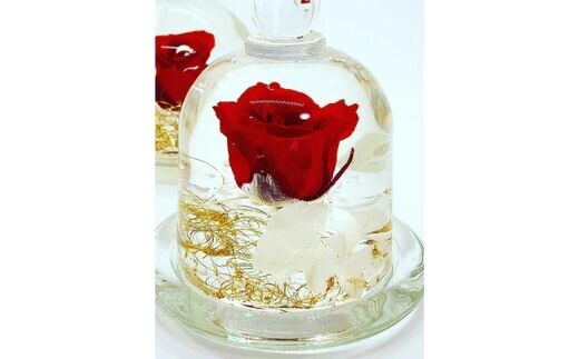 クリスタルドーム 「真実の愛・赤い薔薇」 ／ fleur misaki お祝い インテリア 雑貨 ハーバリウム プレゼント ギフト 奈良県 田原本町