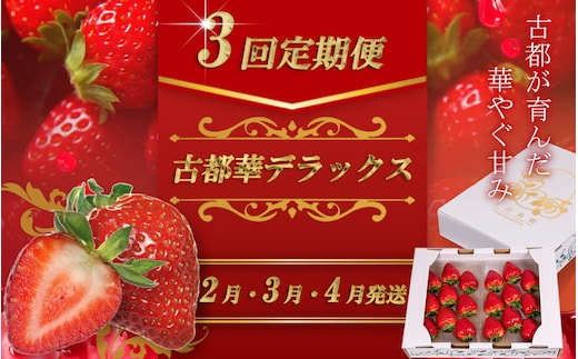 （冷蔵）【定期便全3回】（2月・3月・4月）イチゴ 奈良県産高級ブランド品種「古都華」デラックス（270g×2パック） ／ 上田農園 苺 いちご 果物 フルーツ 甘い 奈良県 田原本町