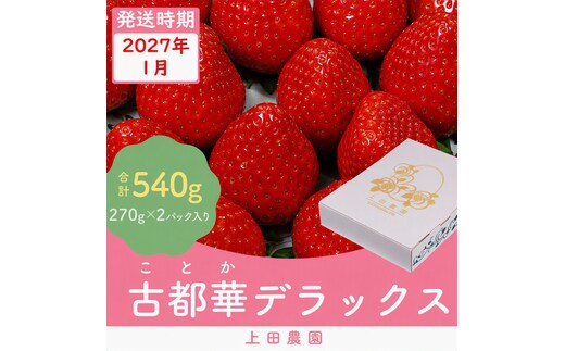 （冷蔵）【１月発送分】イチゴ 奈良県産高級ブランド品種「古都華」デラックス（270g×２パック） ／ ストロベリー ことか 上田農園 苺 いちご 果物 フルーツ 甘い 奈良県 田原本町