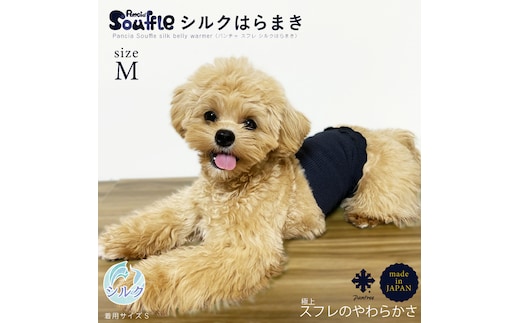 日本製 pancia Souffle シルク 腹巻 Mサイズ 【アイボリー×キャメル ＋ チャコール】 犬用 ／ まちづくり観光振興機構 ドッグウェア ペット服 ペット腹巻 奈良県 田原本町