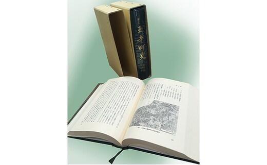 新訂 王寺町史 本 