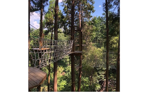 冒険の森inおうじ アドベンチャーコース3名様チケット 入場券 優待券 体験チケット 