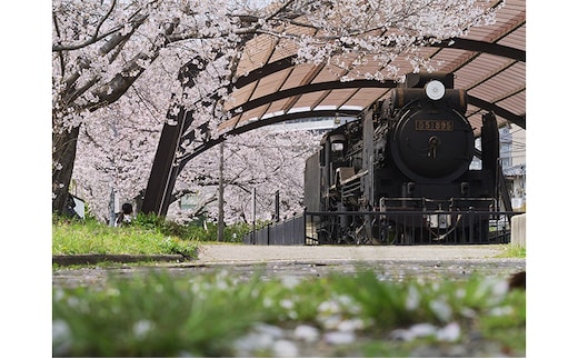 アートパネル 汽車と桜 織物 フォトグラファー 下村綱起 撮影 風景 動物 写真 厳選 作品 フェルト 生地 オリジナル インテリア プレゼント 癒し 