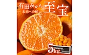 有田市認定みかん「未来への虹」至宝(5kg)【日本初自治体認定フルーツ】(A1-2)